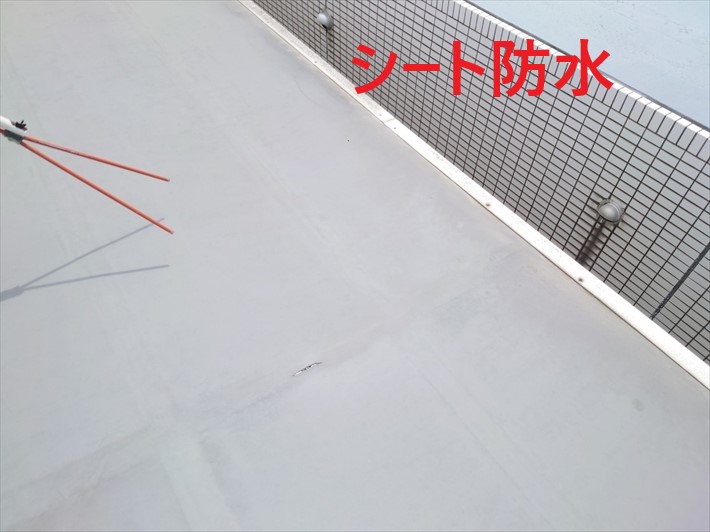 シート防水