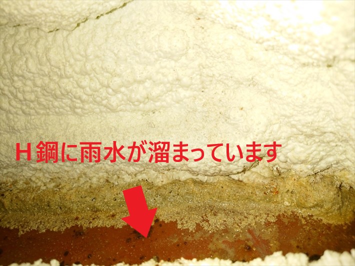 雨水が溜まっています