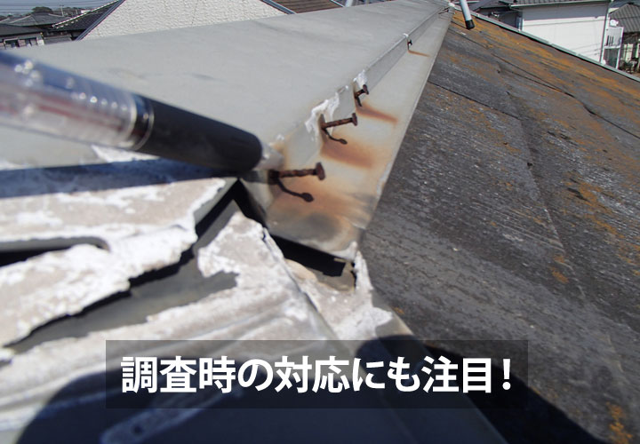 調査時の対応にも注目