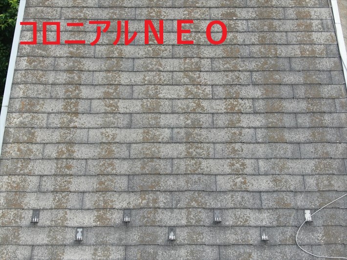 コロニアルＮＥＯ