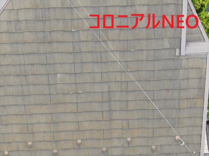コロニアルＮＥＯ
