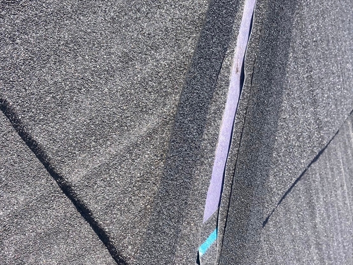 スポンジ