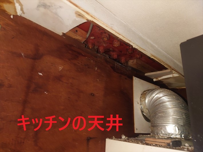 雨漏り箇所