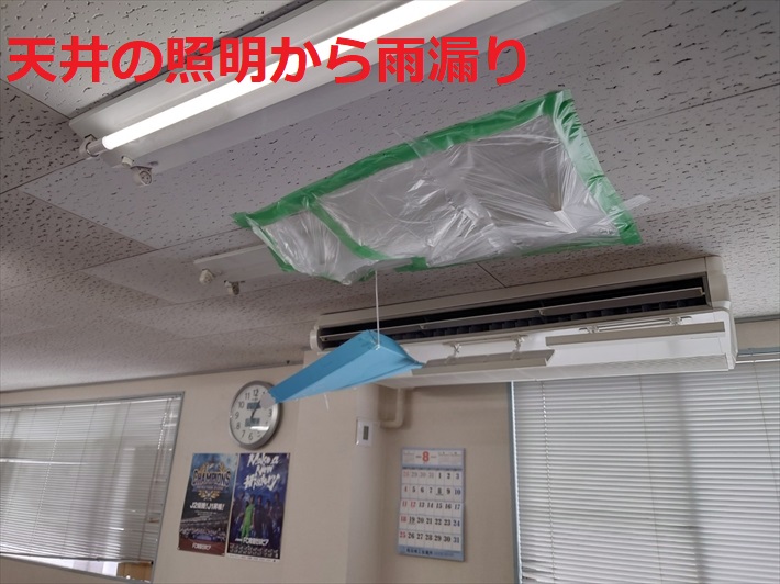 雨漏り箇所