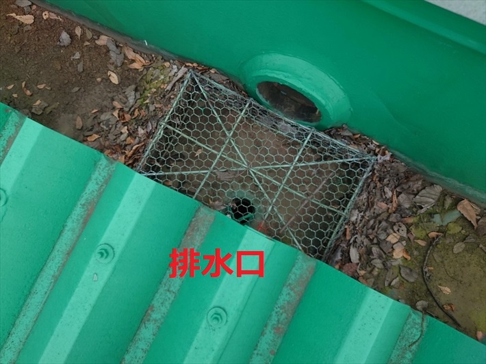 排水口