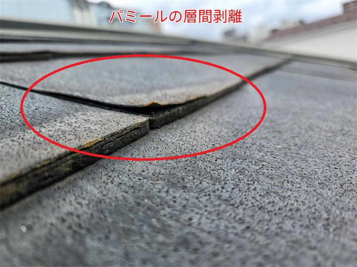 パミールの層間剥離