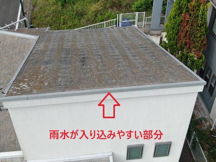 ブログタイトル