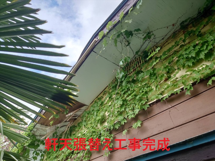 軒天張替え工事完成