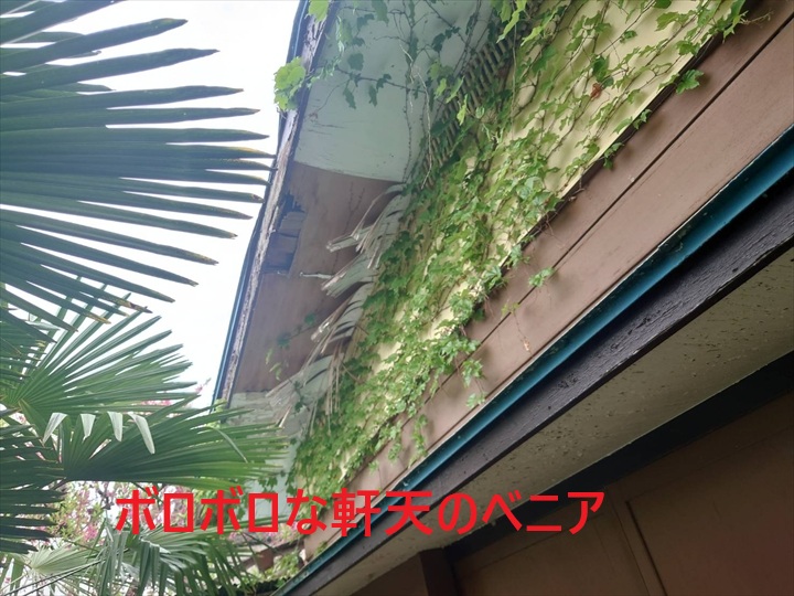 ボロボロな軒天のべニア