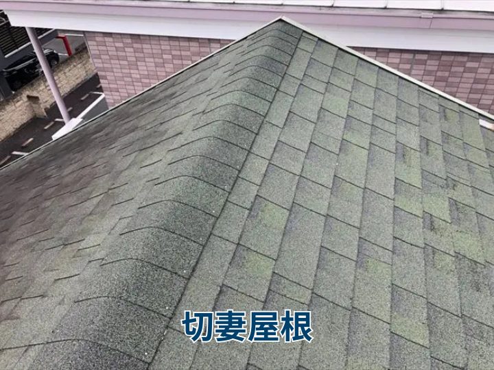 ブログタイトル