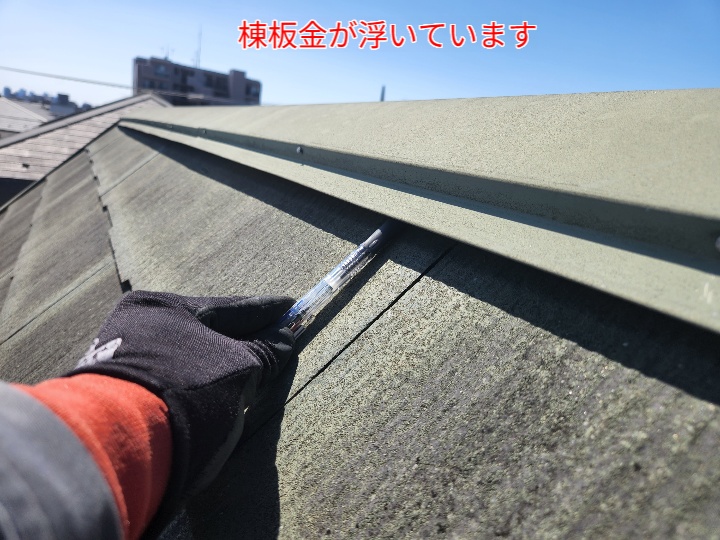 ブログタイトル