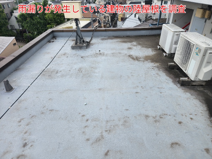 ブログタイトル