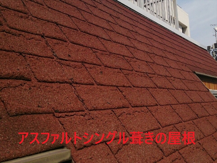 ブログタイトル