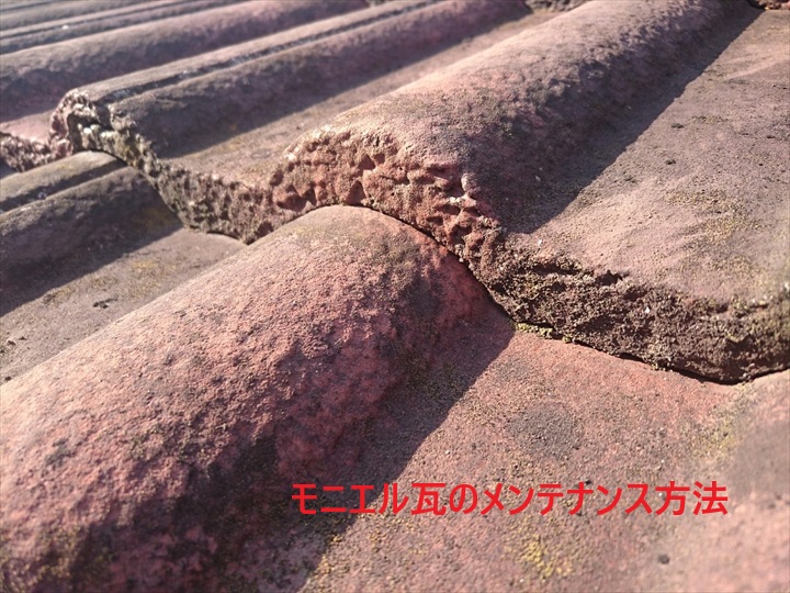 ブログタイトル