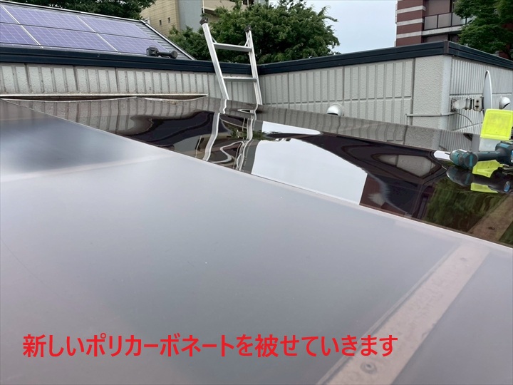 ポリカを被せます