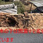 笠木の下は雨漏りで劣化しています