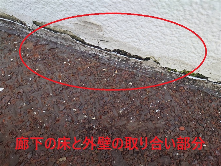 廊下の床と外壁の取り合い部分