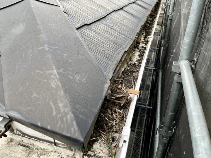落ち葉が堆積した雨樋