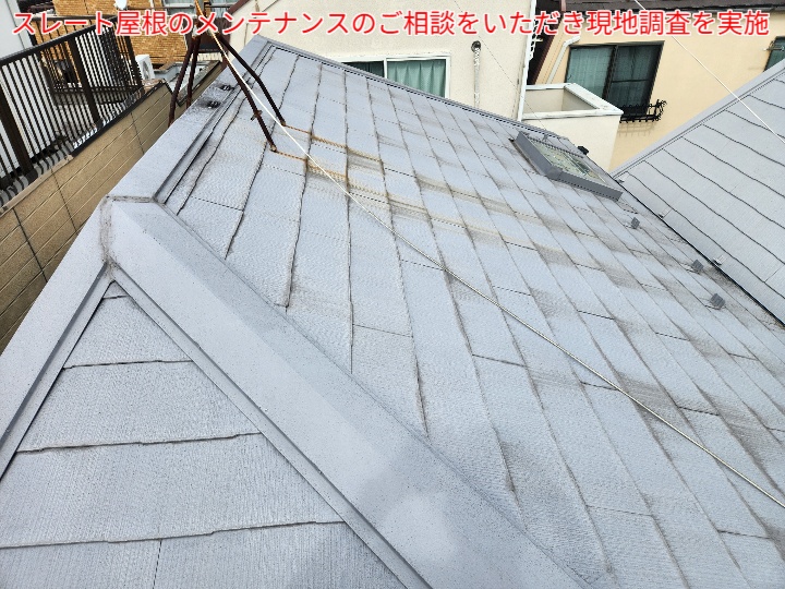 ブログタイトル