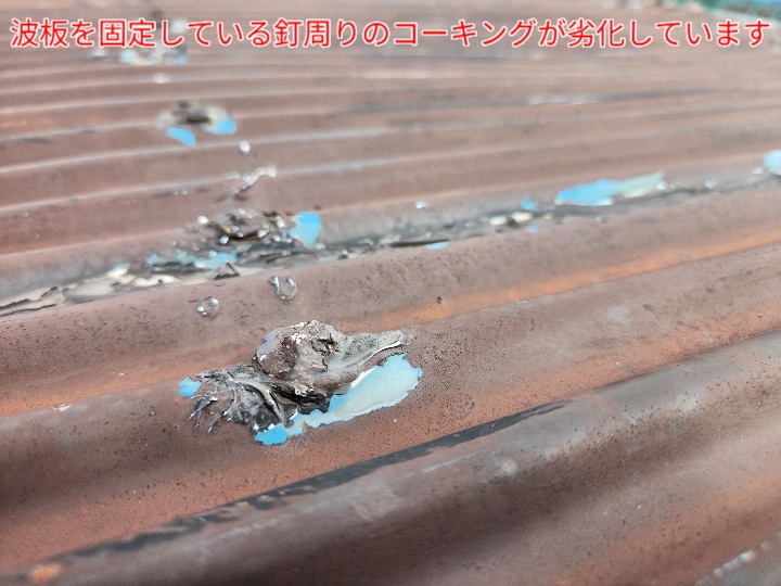 波板を固定している釘のコーキングが劣化