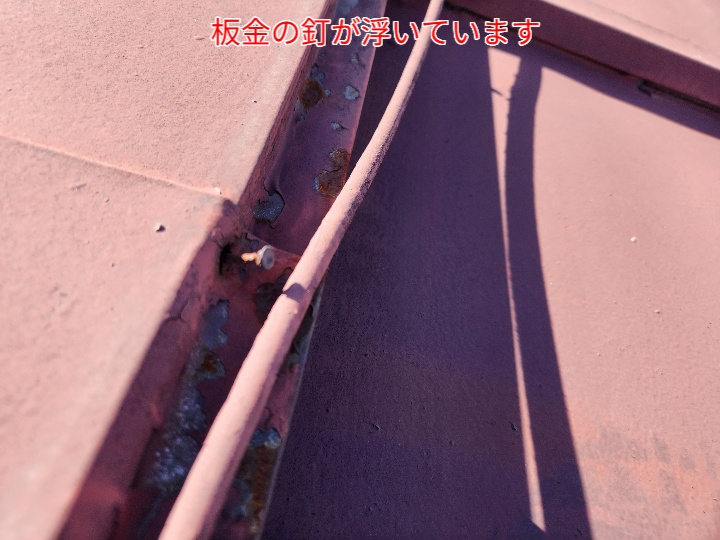 棟板金の釘浮き