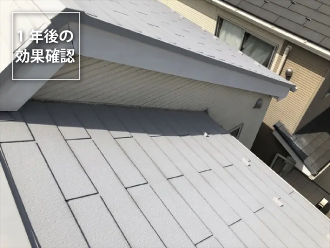 1年後の断熱効果の確認の様子