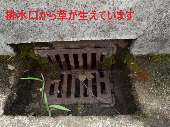排水口回り