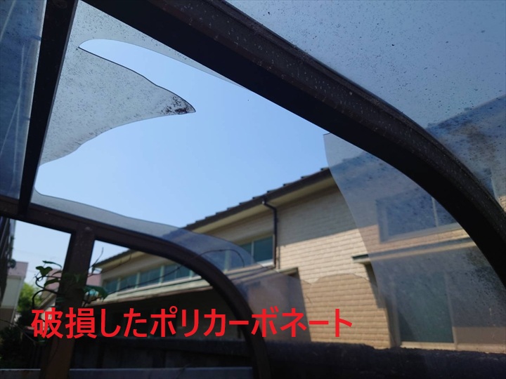 ブログタイトル