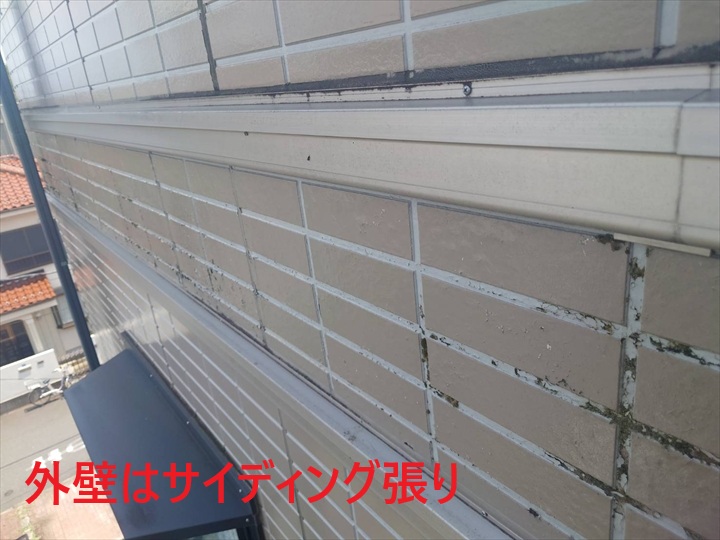 外壁はサイディング張り