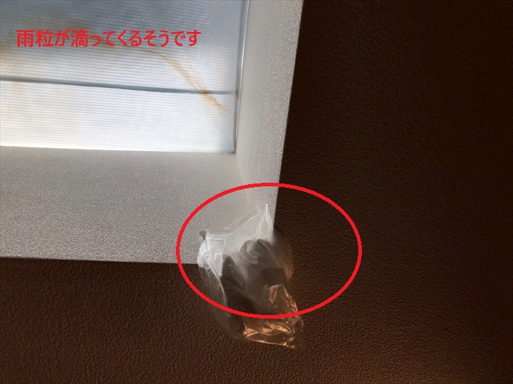 雨漏り箇所