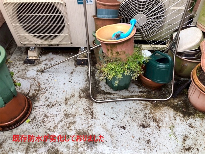 調査時