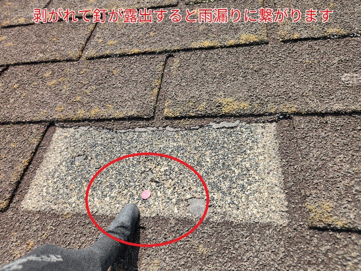 雨漏りに繋がる釘の露出