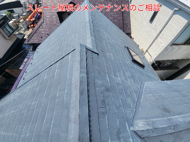 スレート屋根の現地調査
