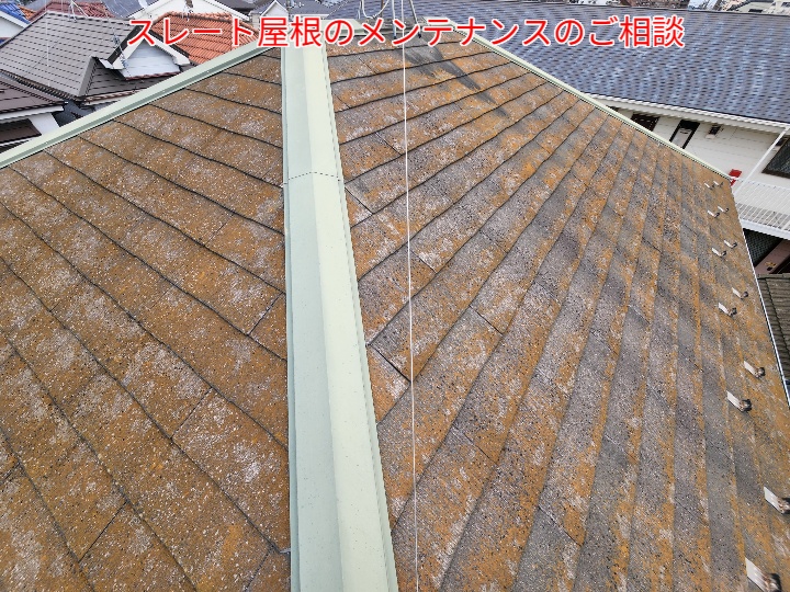 屋根全体が茶色く変色し、広範囲にコケが繁殖している様子。