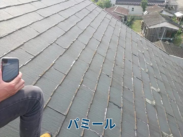 パミール