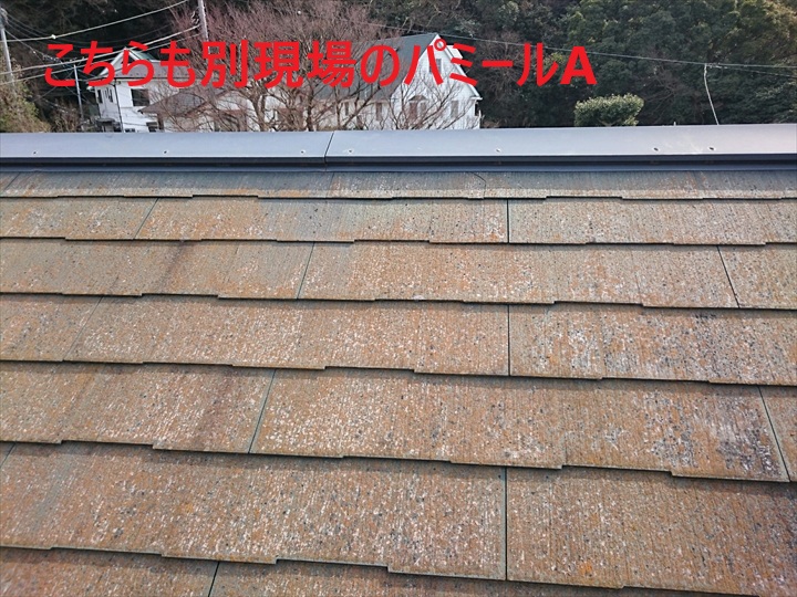 パミールA
