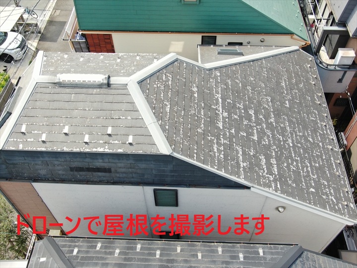 ドローンで確認