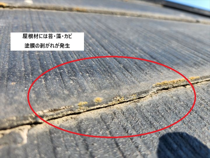 スレート屋根の塗装剥がれ
