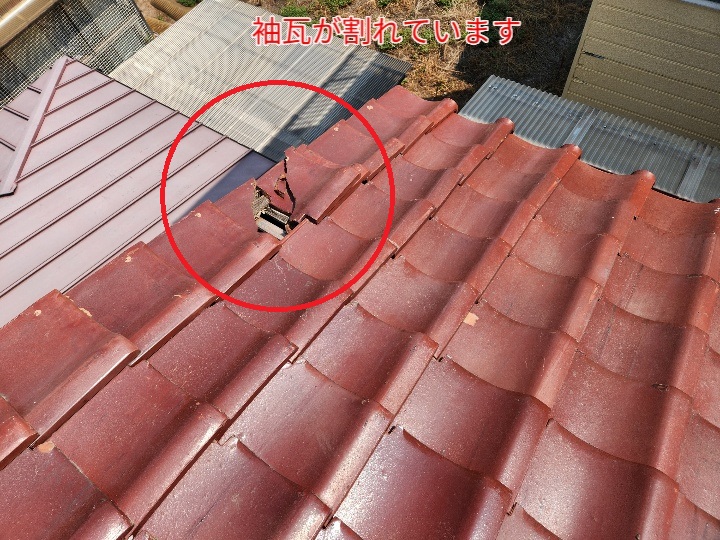 ブログタイトル