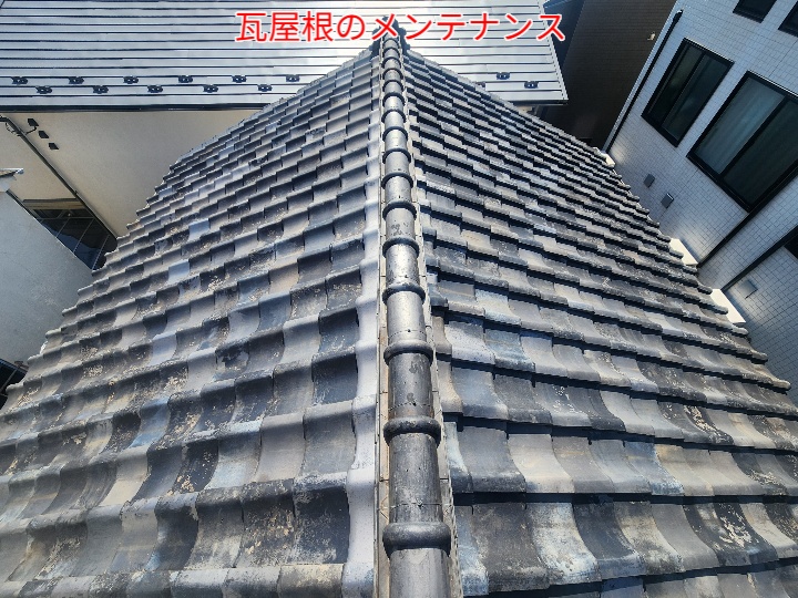ブログタイトル