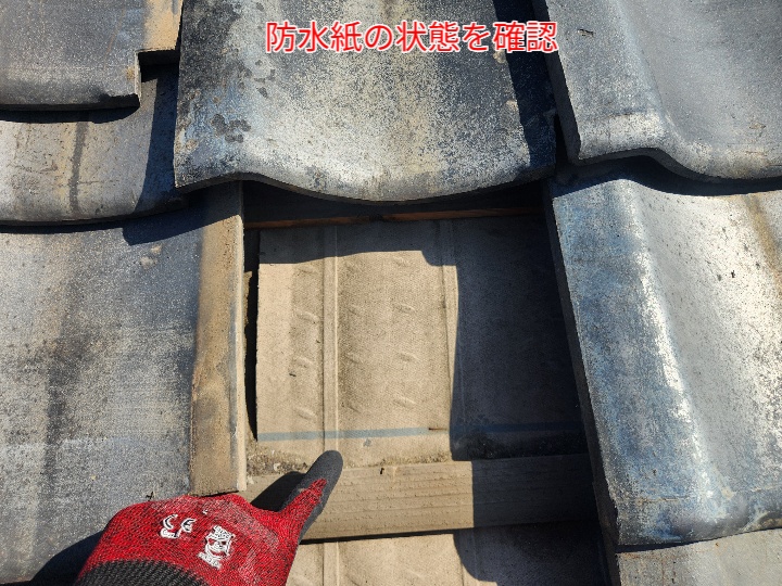 現地調査で瓦屋根の防水紙の状態を確認