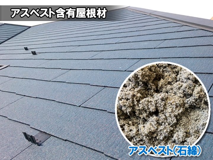 ブログタイトル