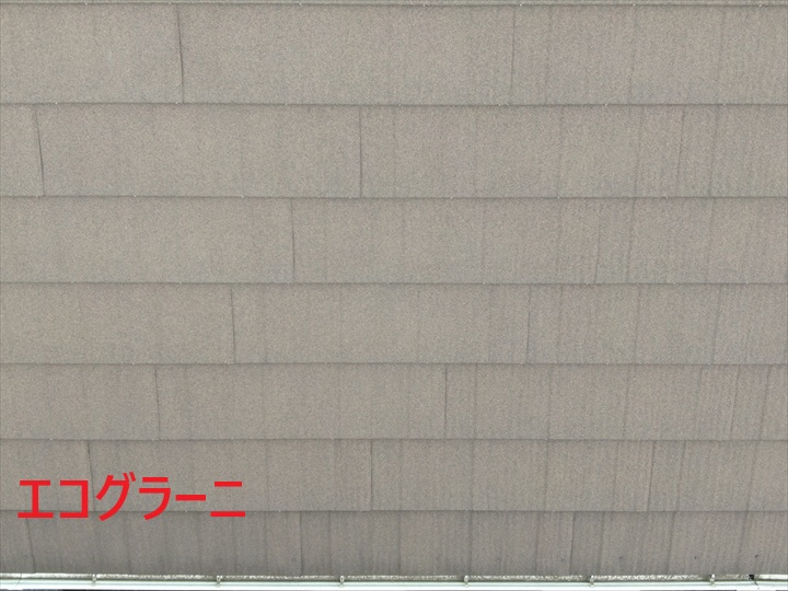 エコグラーニ