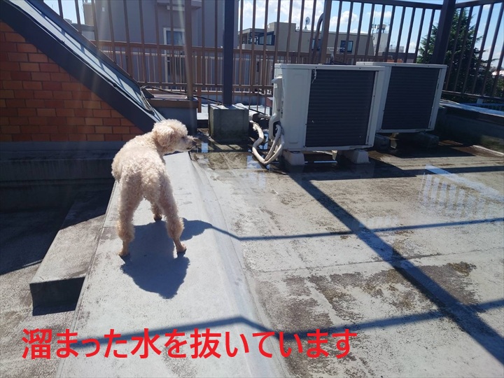 水を抜いている
