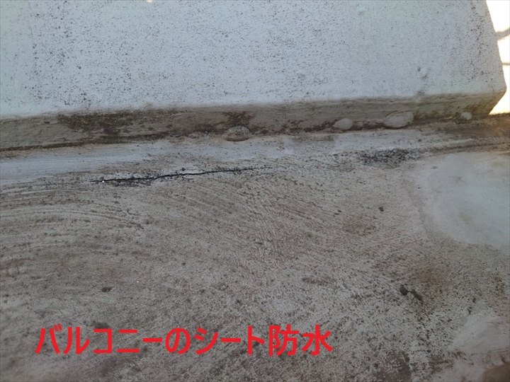 シート防水