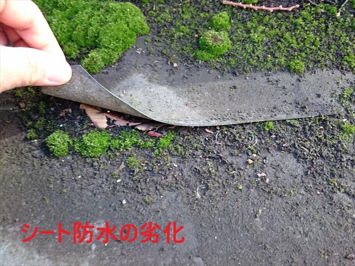 シート防水の劣化