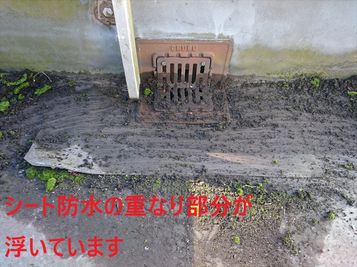 シート防水の浮き