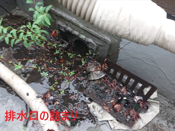 排水口の詰まり