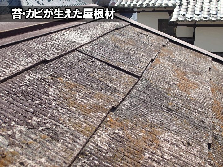 ブログタイトル