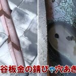 谷板金の錆びや穴あき